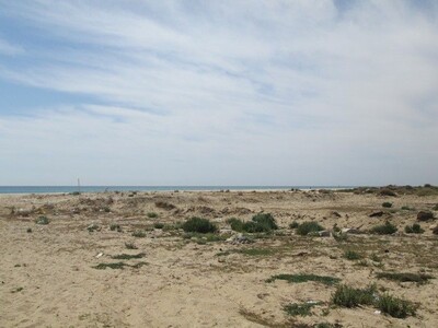Terrain 1200m à Hammamet sud