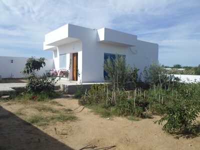 Maison de compagne dans les alentours de hammamet