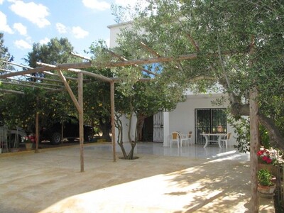 Duplex in Hammamet quiet companion