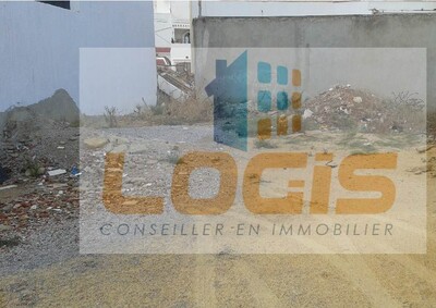 Field Alofo Barraket Ellis