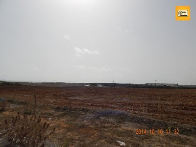 For sale large agricultural land in Kelibia