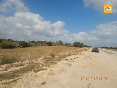 A vendre terrain sur la route de Kélibia