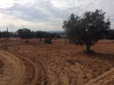 un beau terrain sur les hauteurs de Hammamet
