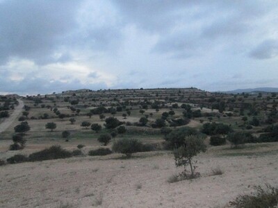 Closes at landaria 240 acres with easy access