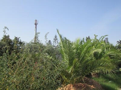 Land on the road craxi 190 m