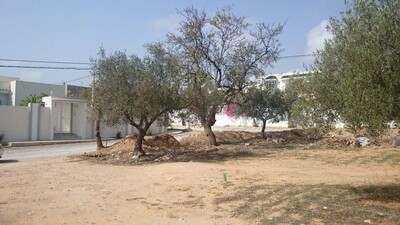 a field has Hammamet Nord in a residential area