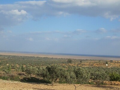 hectare et 3000m titre individuel avec vue mer à Ain Erahma