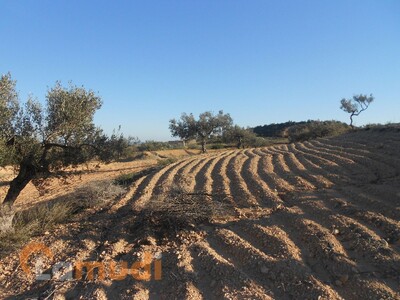 AV 2 hectares à 35 MD pas loin à hammamet nord