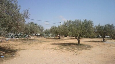 Field av in a residential area in North Hammamet