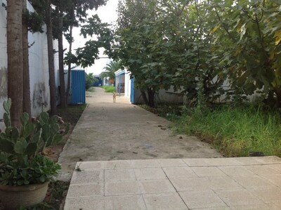 Powerful property at the entrance of Raoued Beach