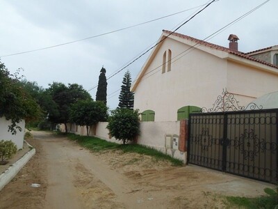 Field AV very near the theatre of hammamet