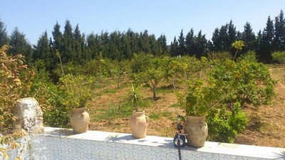 Av une ferme de deux Hectares dans la compagne de Hammamet