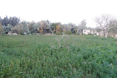 for sale a land in a strategic location