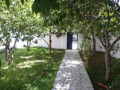 coquette maison avec grand jardin en plein centre ville hammamet