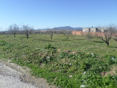 av terrain agricole dans les alentours de hammamet