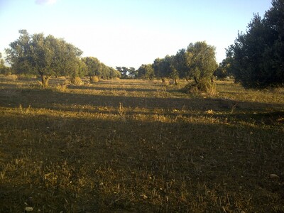 ferme agricole 185 hectares