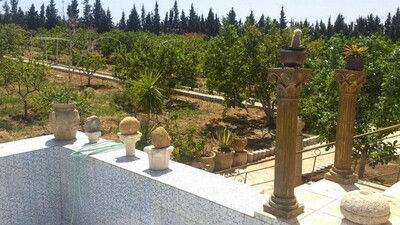 av une ferme dans la compagne proche de Hammamet
