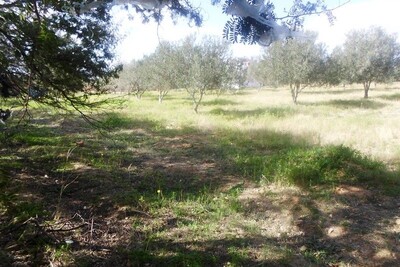 Terrain pour villa pas lon de la ceinture nord Hammamet