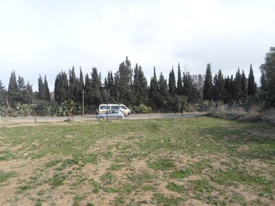 Av un terrain de 1000 m 2 dans les environs de Hammamet