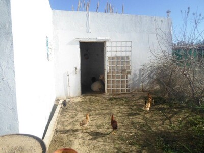 a vdre senia dans les alentours de hammamet