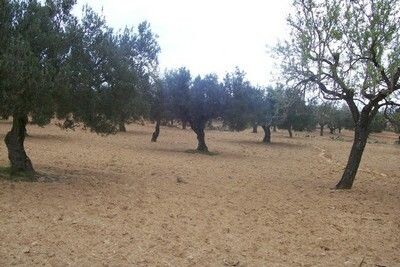 Vente Terrain de 3300 m²