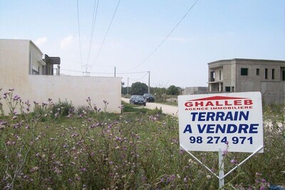 Terrain avec autorisation VTA: 204