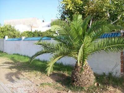 Land with title to the land in Hammamet from 327 m 2
