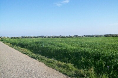 Terrain plat