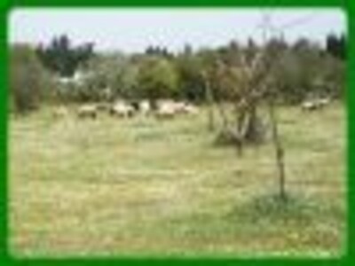 Terrain 4000m²