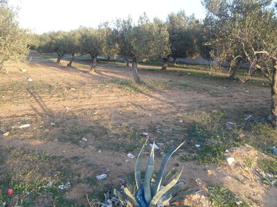 avdre terrain de 300m à hammamet