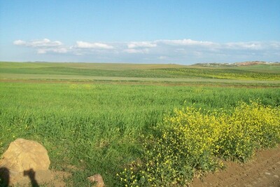 Terrain de 2h 7500m²