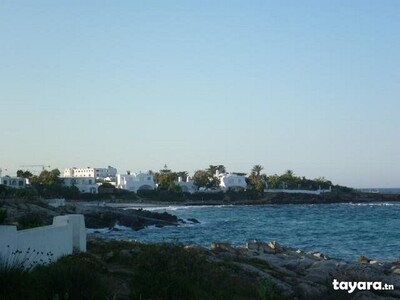 Terrain mansoura 950 m