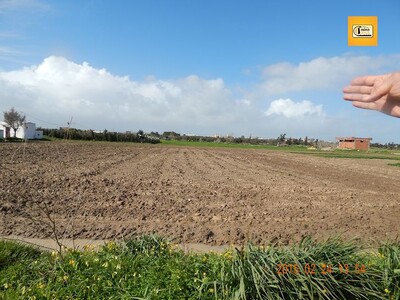 A vendre un terrain pour un projet sur la route de la ceinture de