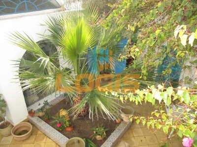 Home Arabic Dar Lella Hammamet