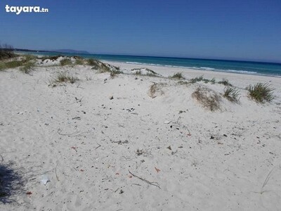Terrain hammam elghzez plage 200m