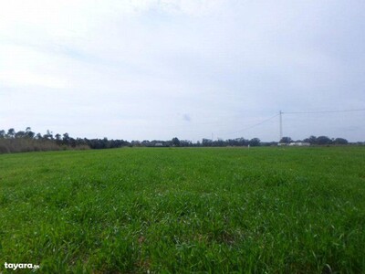 Kerkouane field code