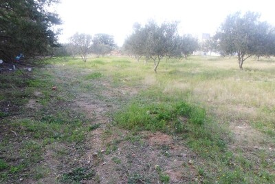 avdre terrain proche de hammamet
