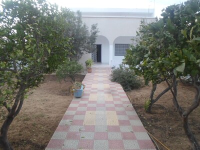 Avdre villa's Companion in hammamet