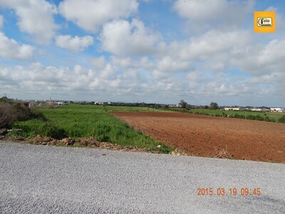 A vendre terrain sur la route principale Dar Allouche Kélibia