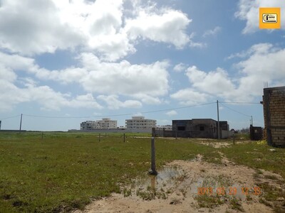 Land for sale in Ain Grenz in Kelibia