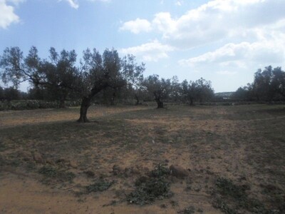 av terrain de 1800m dans la compagne de hammamet sud