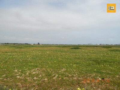 A vendre un grand lot de terrain à Ain Grenez Kélibia