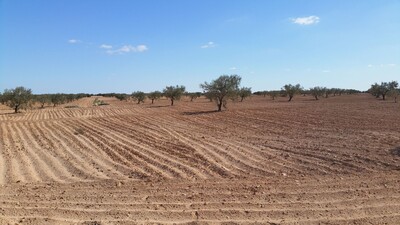 Terrain de 6 hectares à