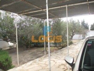 Villa la Colline hammamet l