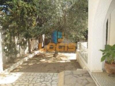 Villa la Colline hammamet