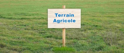 Terrain irriguÃ© Ã  siliana