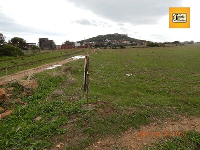 A vendre un terrain sur la route d’El Mansourah à Kélibia