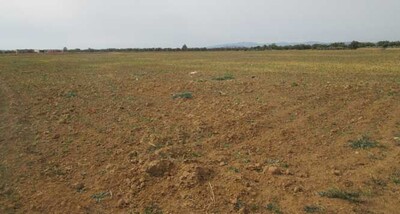Terrain agricole à lenderia