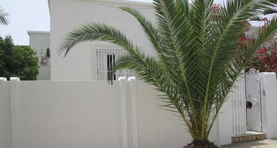 Villa palmier kharouba