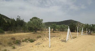 Terrain sidi khlass kharouba